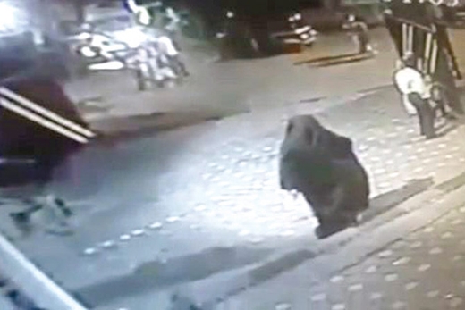 burkha women.jpg